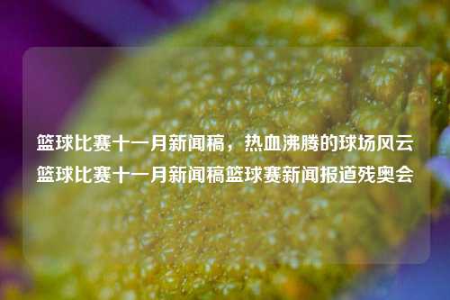 篮球比赛十一月新闻稿，热血沸腾的球场风云篮球比赛十一月新闻稿篮球赛新闻报道残奥会