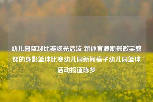 幼儿园篮球比赛炫光活泼 新体育浪潮探微笑教课的身影篮球比赛幼儿园新闻稿子幼儿园篮球活动报道陈梦