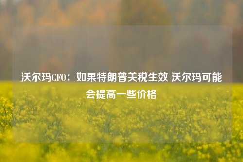 沃尔玛CFO：如果特朗普关税生效 沃尔玛可能会提高一些价格