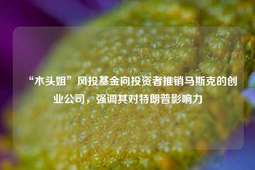 “木头姐”风投基金向投资者推销马斯克的创业公司，强调其对特朗普影响力