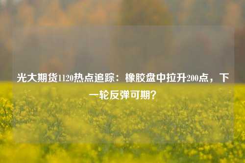 光大期货1120热点追踪：橡胶盘中拉升200点，下一轮反弹可期？