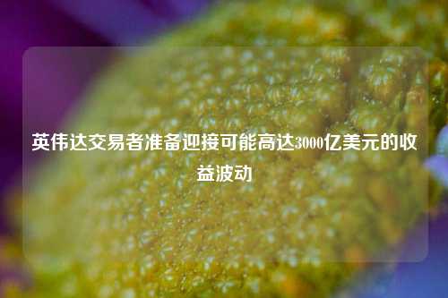 英伟达交易者准备迎接可能高达3000亿美元的收益波动