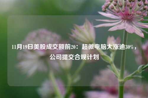 11月19日美股成交额前20：超微电脑大涨逾30%，公司提交合规计划