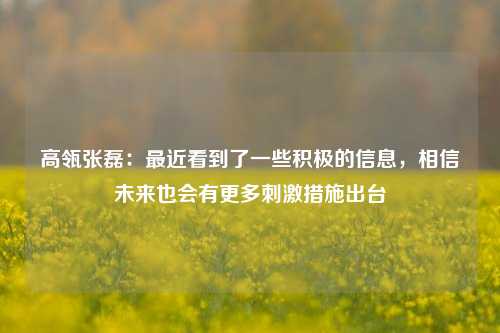 高瓴张磊：最近看到了一些积极的信息，相信未来也会有更多刺激措施出台