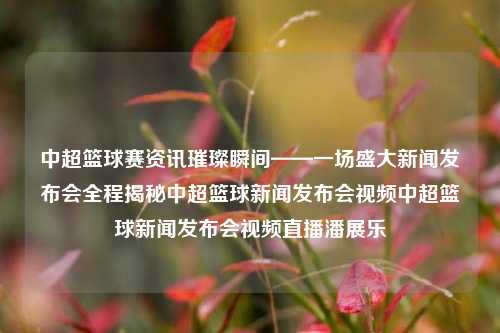 中超篮球赛资讯璀璨瞬间——一场盛大新闻发布会全程揭秘中超篮球新闻发布会视频中超篮球新闻发布会视频直播潘展乐