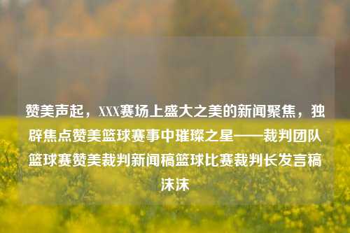 赞美声起，XXX赛场上盛大之美的新闻聚焦，独辟焦点赞美篮球赛事中璀璨之星——裁判团队篮球赛赞美裁判新闻稿篮球比赛裁判长发言稿沫沫