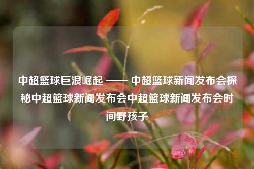 中超篮球巨浪崛起 —— 中超篮球新闻发布会探秘中超篮球新闻发布会中超篮球新闻发布会时间野孩子