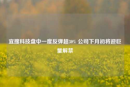 宜搜科技盘中一度反弹超30% 公司下月初将迎巨量解禁