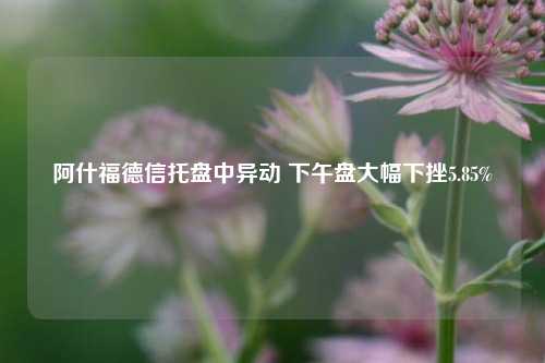 阿什福德信托盘中异动 下午盘大幅下挫5.85%