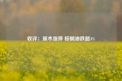 收评：原木涨停 棕榈油跌超4%