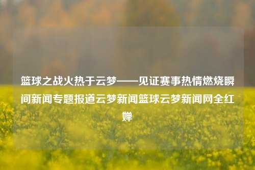 篮球之战火热于云梦——见证赛事热情燃烧瞬间新闻专题报道云梦新闻篮球云梦新闻网全红婵