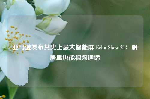 亚马逊发布其史上最大智能屏 Echo Show 21：厨房里也能视频通话