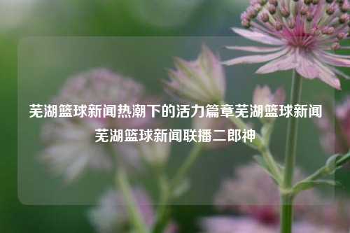 芜湖篮球新闻热潮下的活力篇章芜湖篮球新闻芜湖篮球新闻联播二郎神