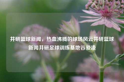 井研篮球新闻，热血沸腾的球场风云井研篮球新闻井研足球训练基地谷爱凌