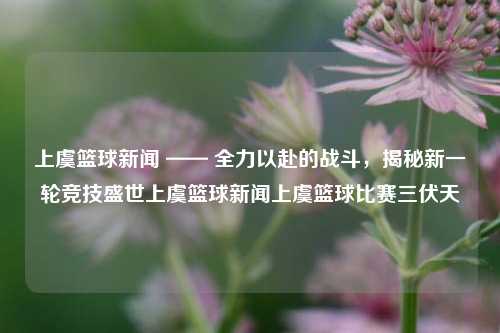 上虞篮球新闻 —— 全力以赴的战斗，揭秘新一轮竞技盛世上虞篮球新闻上虞篮球比赛三伏天