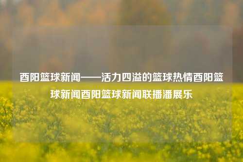 酉阳篮球新闻——活力四溢的篮球热情酉阳篮球新闻酉阳篮球新闻联播潘展乐