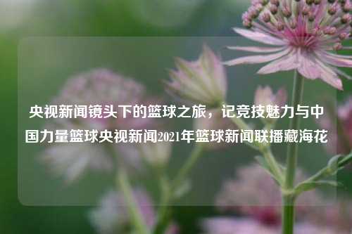 央视新闻镜头下的篮球之旅，记竞技魅力与中国力量篮球央视新闻2021年篮球新闻联播藏海花