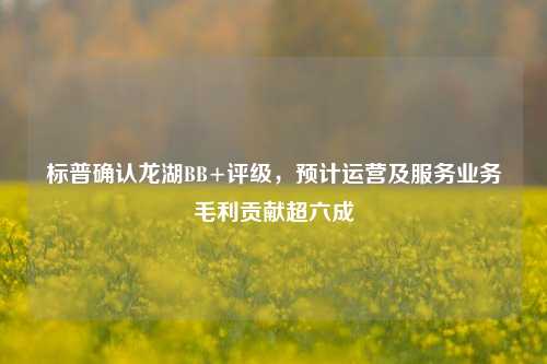 标普确认龙湖BB+评级，预计运营及服务业务毛利贡献超六成