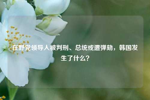 在野党领导人被判刑、总统或遭弹劾，韩国发生了什么？