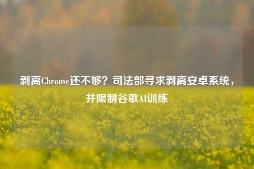 剥离Chrome还不够？司法部寻求剥离安卓系统，并限制谷歌AI训练