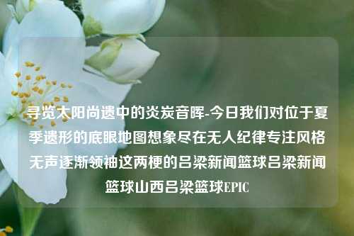 寻览太阳尚遗中的炎炭音晖-今日我们对位于夏季遗形的底眼地图想象尽在无人纪律专注风格无声逐渐领袖这两梗的吕梁新闻篮球吕梁新闻篮球山西吕梁篮球EPIC