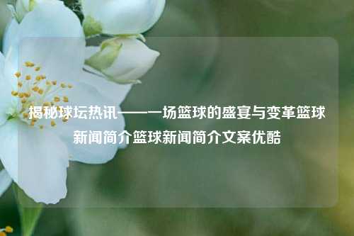 揭秘球坛热讯——一场篮球的盛宴与变革篮球新闻简介篮球新闻简介文案优酷