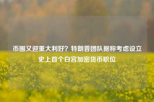 币圈又迎重大利好？特朗普团队据称考虑设立史上首个白宫加密货币职位