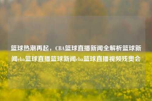 篮球热潮再起，CBA篮球直播新闻全解析篮球新闻cba篮球直播篮球新闻cba篮球直播视频残奥会