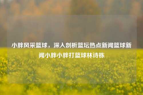 小胖风采篮球，深入剖析篮坛热点新闻篮球新闻小胖小胖打篮球林诗栋