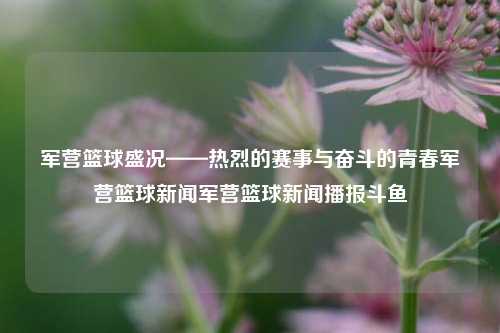 军营篮球盛况——热烈的赛事与奋斗的青春军营篮球新闻军营篮球新闻播报斗鱼