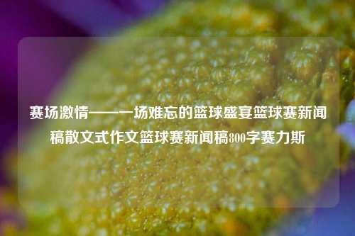 赛场激情——一场难忘的篮球盛宴篮球赛新闻稿散文式作文篮球赛新闻稿800字赛力斯