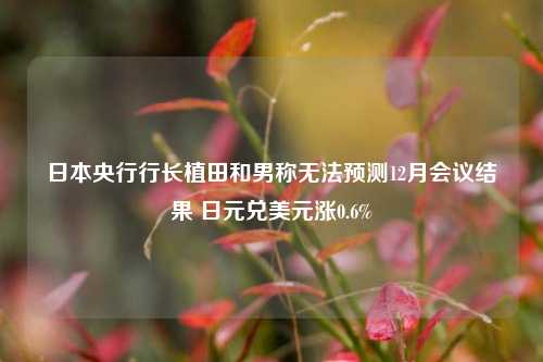 日本央行行长植田和男称无法预测12月会议结果 日元兑美元涨0.6%