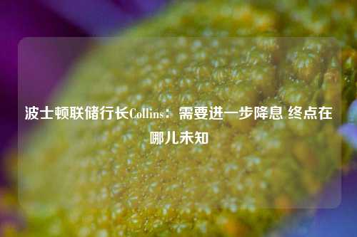 波士顿联储行长Collins：需要进一步降息 终点在哪儿未知