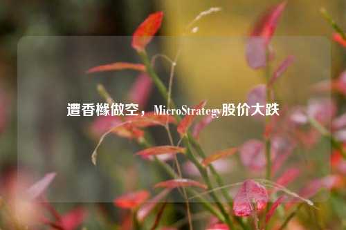 遭香橼做空，MicroStrategy股价大跌