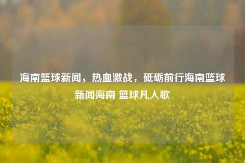 海南篮球新闻，热血激战，砥砺前行海南篮球新闻海南 篮球凡人歌