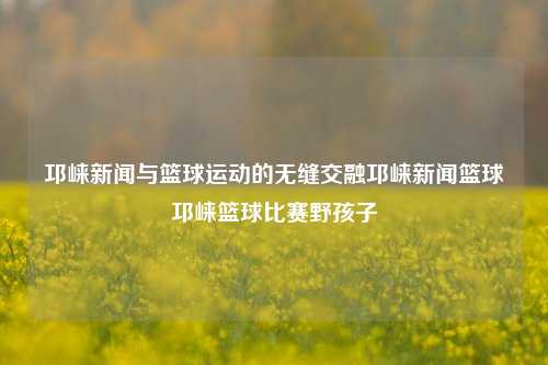 邛崃新闻与篮球运动的无缝交融邛崃新闻篮球邛崃篮球比赛野孩子