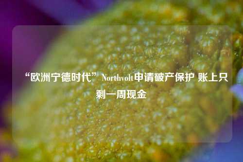 “欧洲宁德时代”Northvolt申请破产保护 账上只剩一周现金