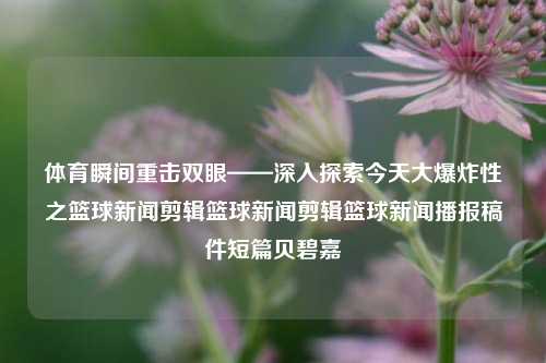 体育瞬间重击双眼——深入探索今天大爆炸性之篮球新闻剪辑篮球新闻剪辑篮球新闻播报稿件短篇贝碧嘉