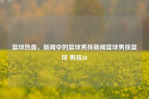 篮球热血，新闻中的篮球男孩新闻篮球男孩篮球 男孩JD