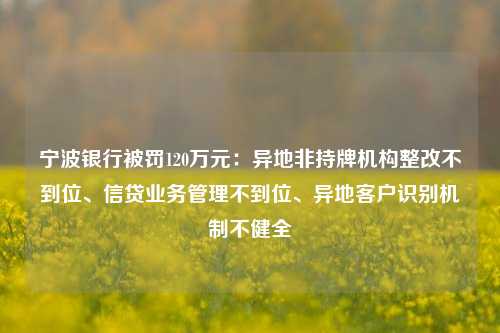 宁波银行被罚120万元：异地非持牌机构整改不到位、信贷业务管理不到位、异地客户识别机制不健全