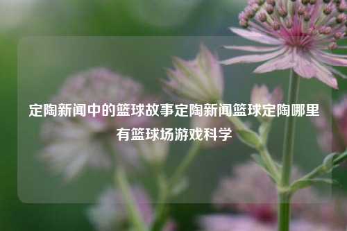 定陶新闻中的篮球故事定陶新闻篮球定陶哪里有篮球场游戏科学