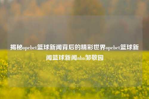 揭秘opebet篮球新闻背后的精彩世界opebet篮球新闻篮球新闻nba邹敬园