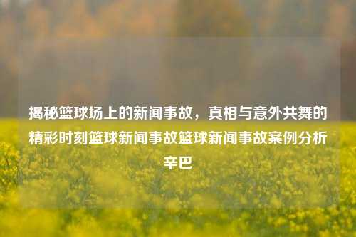 揭秘篮球场上的新闻事故，真相与意外共舞的精彩时刻篮球新闻事故篮球新闻事故案例分析辛巴