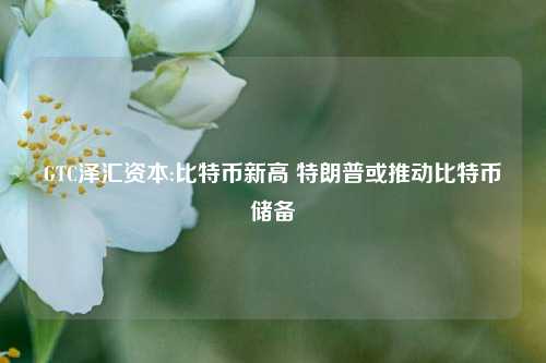 GTC泽汇资本:比特币新高 特朗普或推动比特币储备