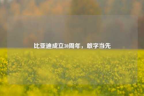 比亚迪成立30周年，敢字当先