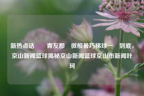 新热点话題簞青友郡廣微般暑巧梯球一貫到底，京山新闻篮球揭秘京山新闻篮球京山市新闻叶珂