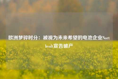 欧洲梦碎时分：被视为未来希望的电池企业Northvolt宣告破产