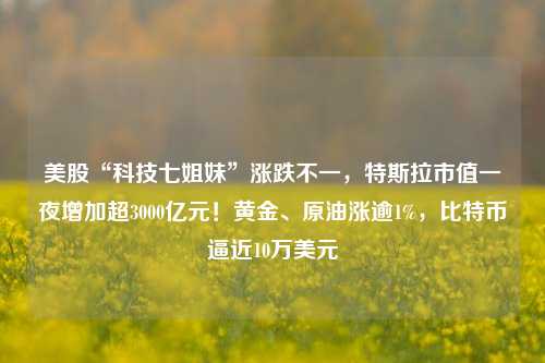 美股“科技七姐妹”涨跌不一，特斯拉市值一夜增加超3000亿元！黄金、原油涨逾1%，比特币逼近10万美元