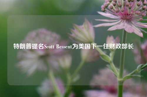 特朗普提名Scott Bessent为美国下一任财政部长