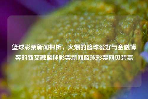 篮球彩票新闻探析，火爆的篮球爱好与金融博弈的新交融篮球彩票新闻蓝球彩票网贝碧嘉